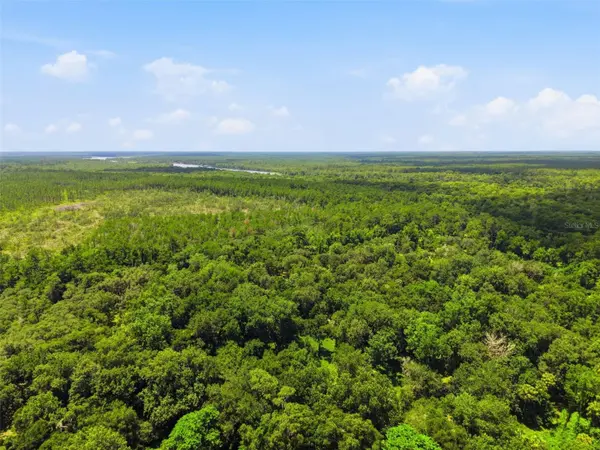 2140 ST JOHNS RIVER RD, Astor, FL 32102