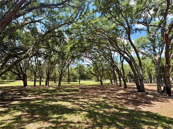 390 FOOTHILL FARMS RD, Orange City, FL 32763