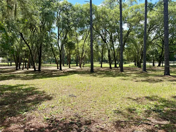390 FOOTHILL FARMS RD, Orange City, FL 32763