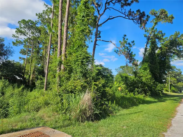 2318 WHITEHORSE ST, Deltona, FL 32738