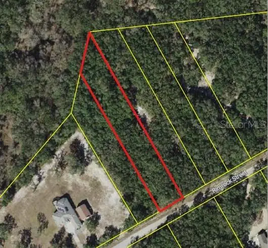 0 RIM ROCK, Webster, FL 33597