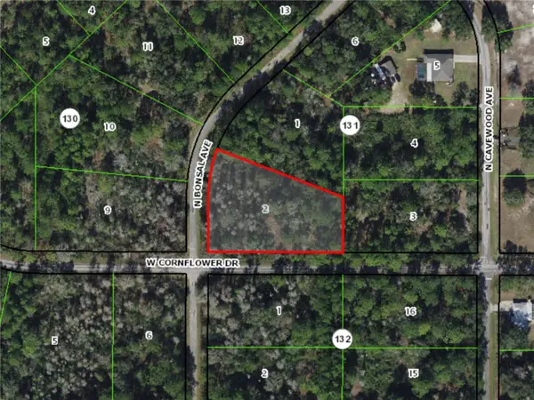 9474 N BONSAI AVE, Crystal River, FL 34428