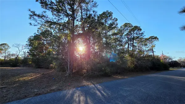 13122 ANGLER ST, Spring Hill, FL 34609