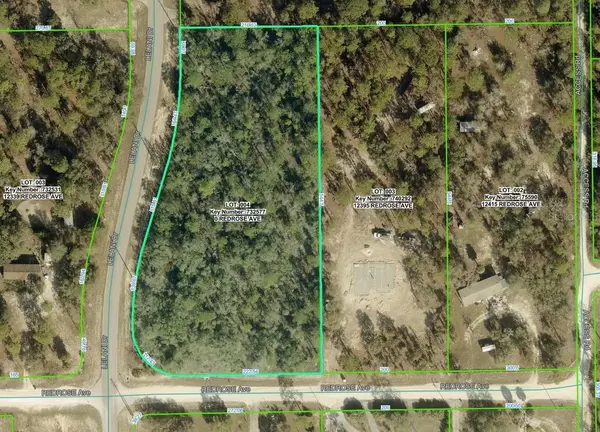 00 LELANI DR, Weeki Wachee, FL 34614