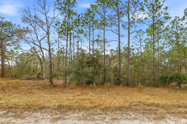 CAYMAN RD, Weeki Wachee, FL 34614