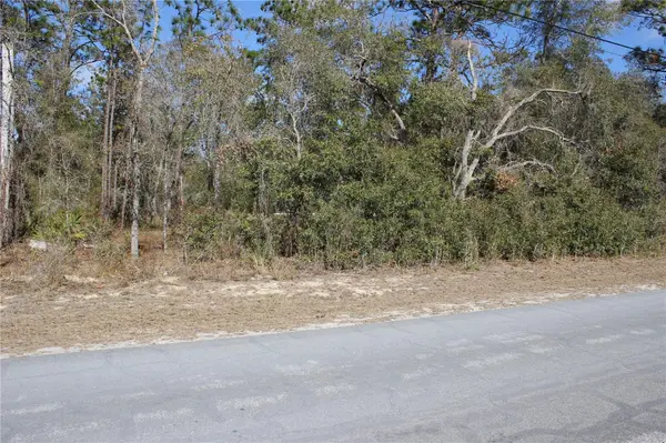 0 QUIGLEY AVE, Weeki Wachee, FL 34614