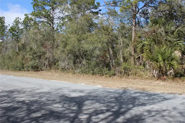 0 QUIGLEY AVE, Weeki Wachee, FL 34614