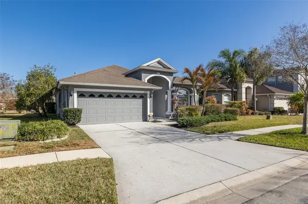 20301 FALLING ROCK DR, Land O Lakes, FL 34638
