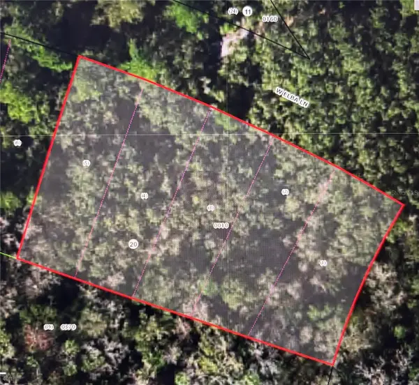 8748 W ELBA PL, Homosassa, FL 34448