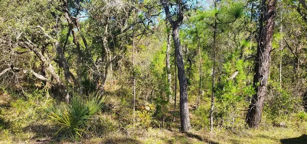 Lot 56 MICHIGAN AVE, Weeki Wachee, FL 34613