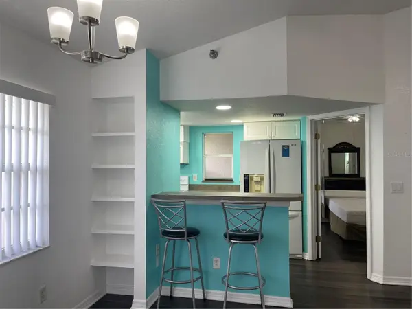 21146 FOUNTAIN VIEW LN #4303, Lutz, FL 33558