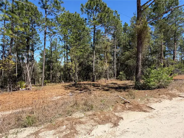 00000 SE 58TH PLACE, Morriston, FL 32668