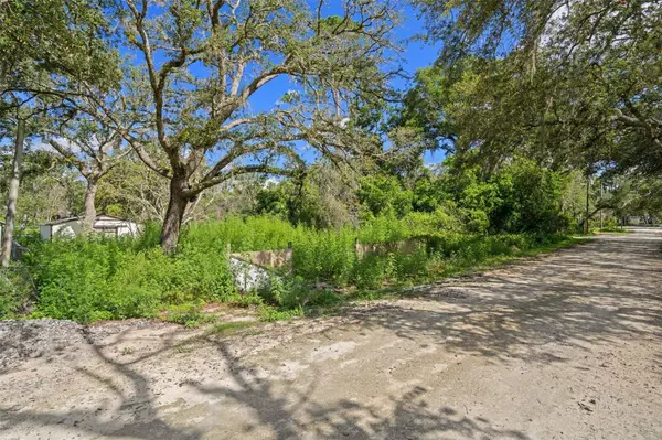 3241 TAFFETA ST, Dade City, FL 33523