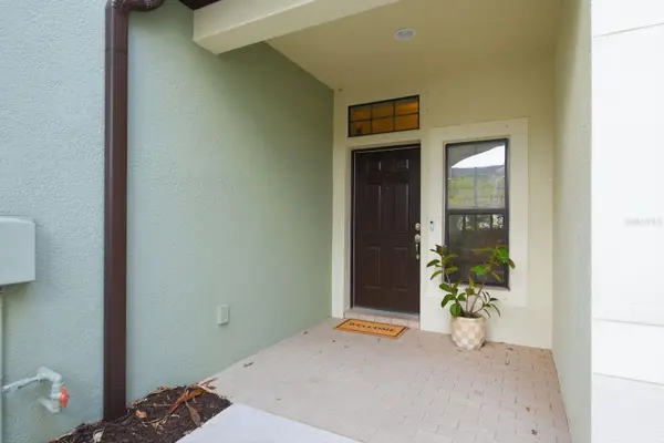 11636 CROWNED SPARROW LN, Tampa, FL 33626