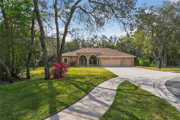 14024 WARM SPRINGS CT, Hudson, FL 34667
