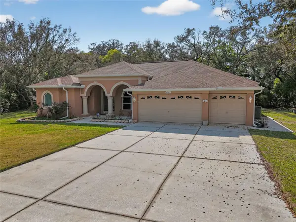14024 WARM SPRINGS CT, Hudson, FL 34667