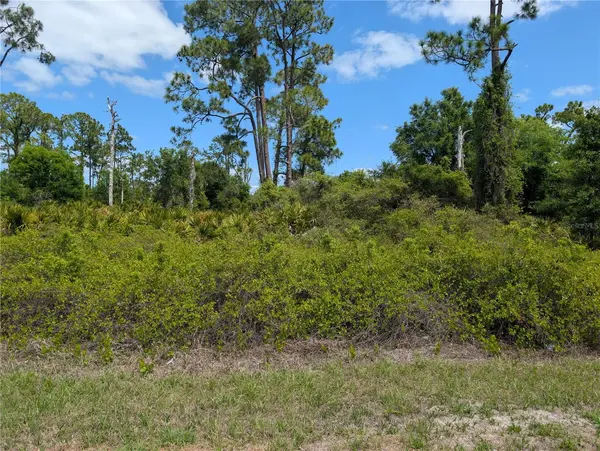 784 WASHINGTON BLVD NE, Lake Placid, FL 33852