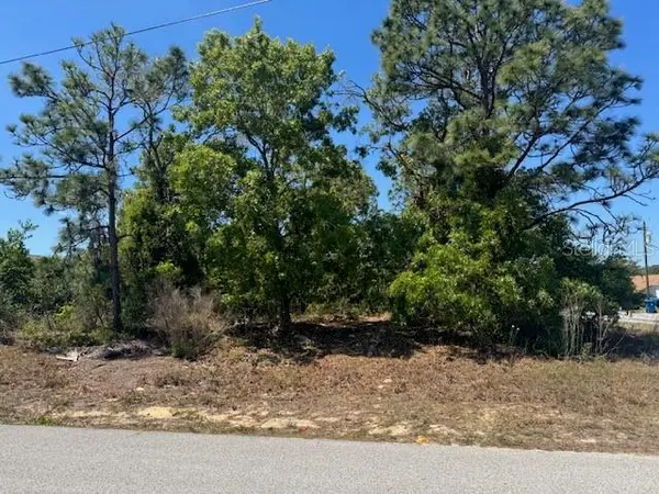 11364 PATCH ST, Spring Hill, FL 34609