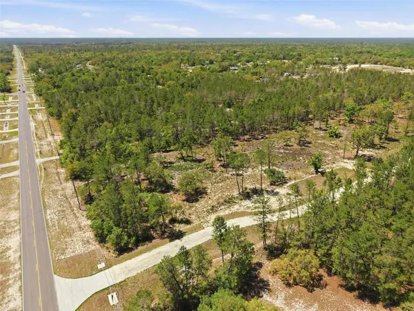 13183 HAVEN (LOT 1) TRL, Weeki Wachee, FL 34614