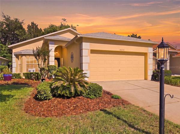 18018 WEBSTER GROVE DR, Hudson, FL 34667