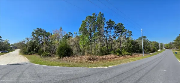 12398 RUFFED GROUSE RD, Weeki Wachee, FL 34614