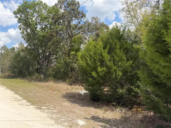 0 BASTIAN CT, Weeki Wachee, FL 34613