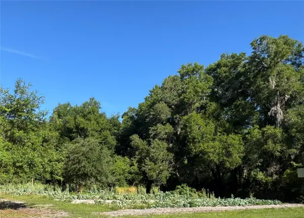 00 COUNTY ROAD 213, Wildwood, FL 34785
