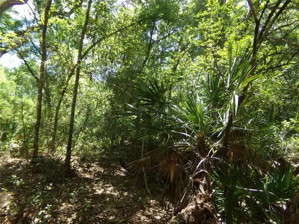 KNOXVILLE DR, Webster, FL 33597