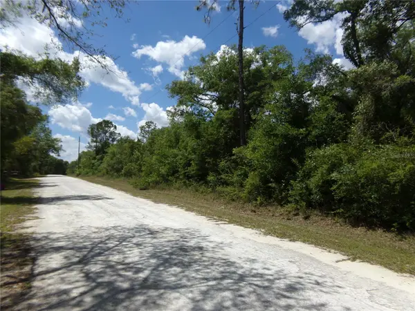 KNOXVILLE DR, Webster, FL 33597
