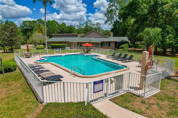3071 BOLT DR, Palm Harbor, FL 34685