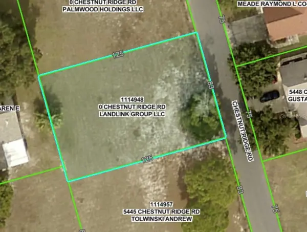 Lot 194 CHESTNUT RIDGE RD, Dade City, FL 33523