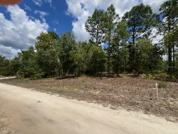 3726 W SPOON WOOD CT, Dunnellon, FL 34433