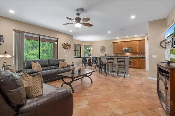 14807 PRINCEWOOD LN, Land O Lakes, FL 34638