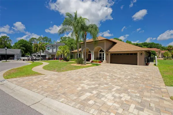 8115 MONTOCK CT, Trinity, FL 34655