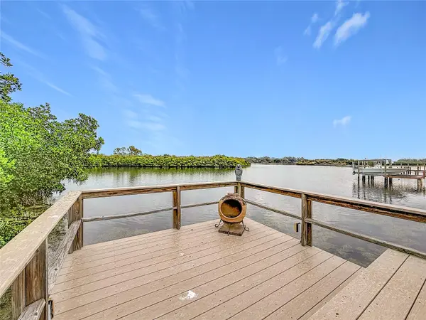 2021 NORTH POINTE ALEXIS DR, Tarpon Springs, FL 34689