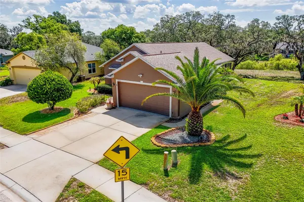 13253 GOLF RIDGE PL, Hudson, FL 34669