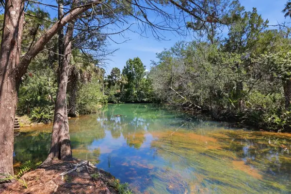 6248 COLONY CIR, Weeki Wachee, FL 34607