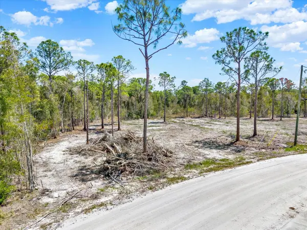 12268 FINWICK DR, Punta Gorda, FL 33955