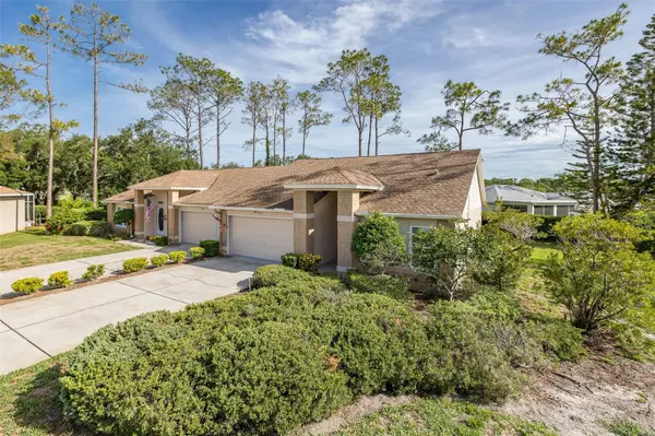 9519 SCENIC PINE CT, New Port Richey, FL 34655