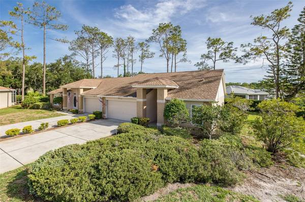9519 SCENIC PINE CT, New Port Richey, FL 34655