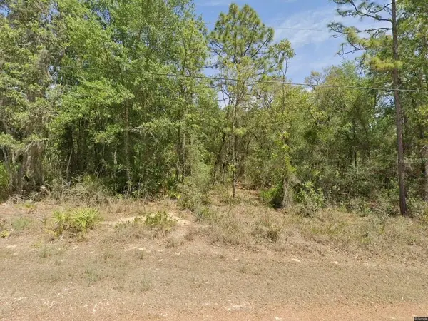 6575 W PERSHING DR, Homosassa, FL 34448