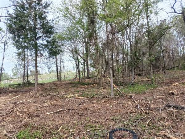 301 E 2nd ST, Annapolis, MO 63620