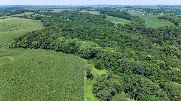 0 S Flint RD, Pearl City, IL 61062