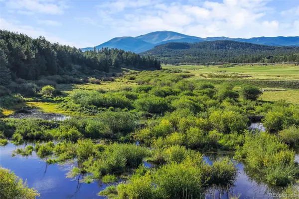 3763 County Road 43, Bailey, CO 80421