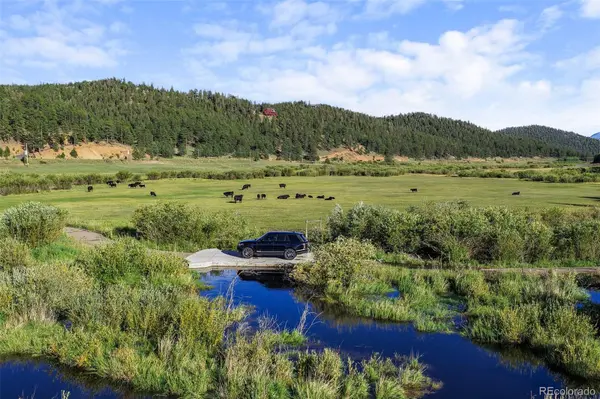 3763 County Road 43, Bailey, CO 80421
