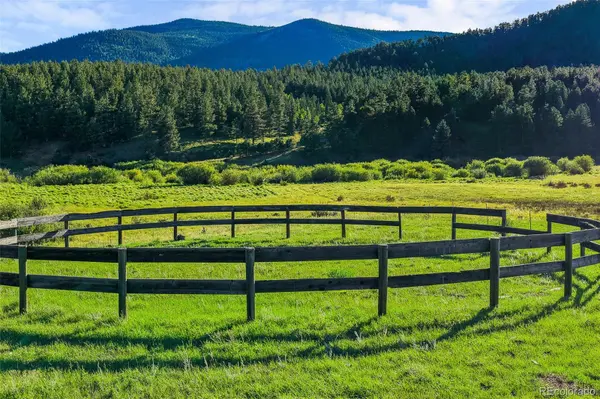 3763 County Road 43, Bailey, CO 80421
