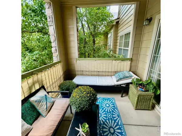5620 Fossil Creek Pkwy #5203, Fort Collins, CO 80525