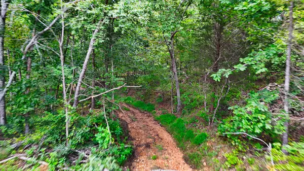 5 Hickory Ln, Waverly, TN 37185