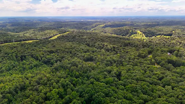 5 Hickory Ln, Waverly, TN 37185