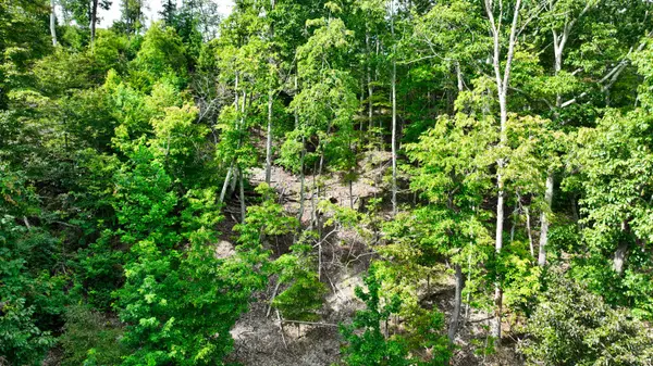 57 Ridge Top Rd, Stewart, TN 37175